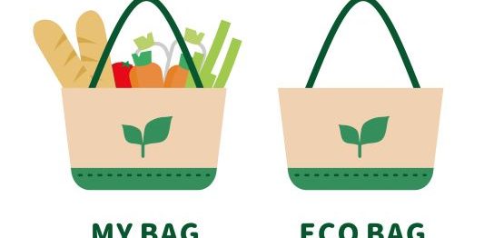 エコバッグとマイバッグ